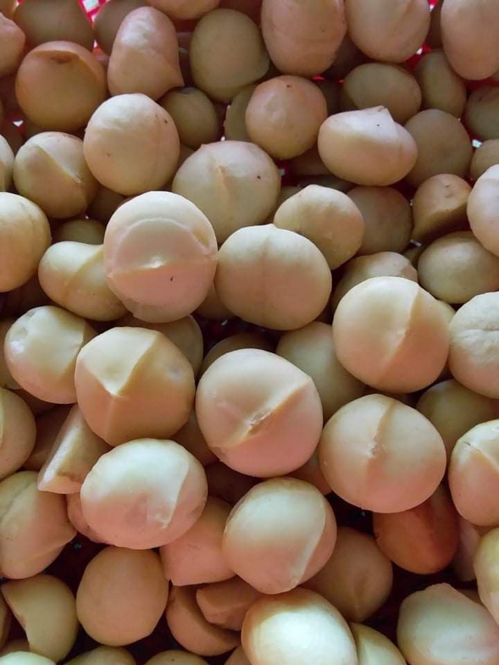Macca Rang Củi