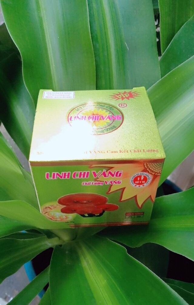 [HCM]KEM SIÊU TRẮNG LINH CHI VÀNG 25G