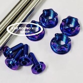 Cặp Cốt INOX 304 Full ốc Titan GR5 Gắn RAIDER (màu Xanh Tím)