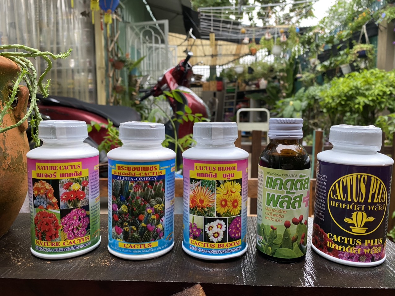 Bộ 4 chai theo giai đoạn công thức dinh dưỡng phổ biến được sử dụng bởi những người chuyên trồng sen đá xương rồng