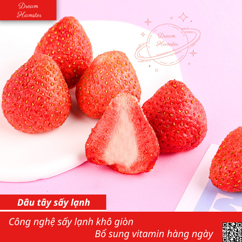 Dâu sấy cho Hamster, thỏ, bọ,...