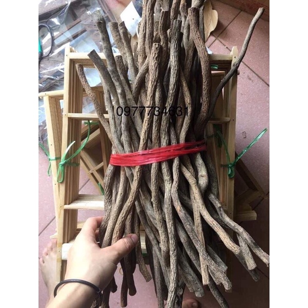 Phôi cầu lồng chim chào mào giữ chân ấm, chống run chân hiệu quả chất lượng Phụ kiện Kabosa