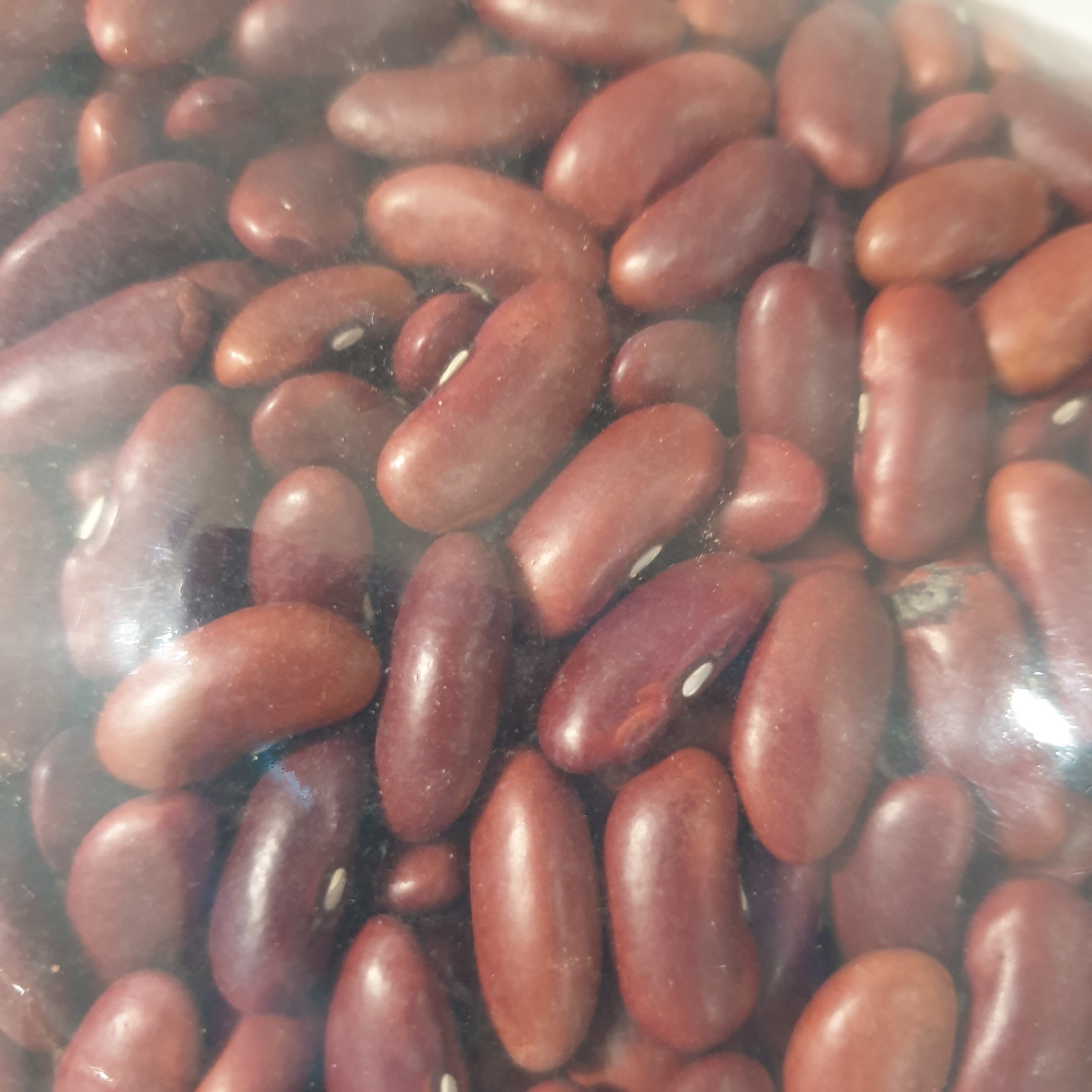 [HCM] Đậu đỏ tây/ đậu thận - 1000gr