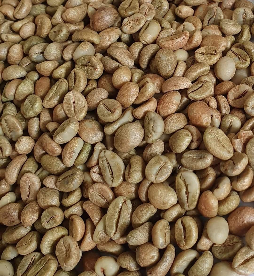 Set 20kg cà phê nhân robusta