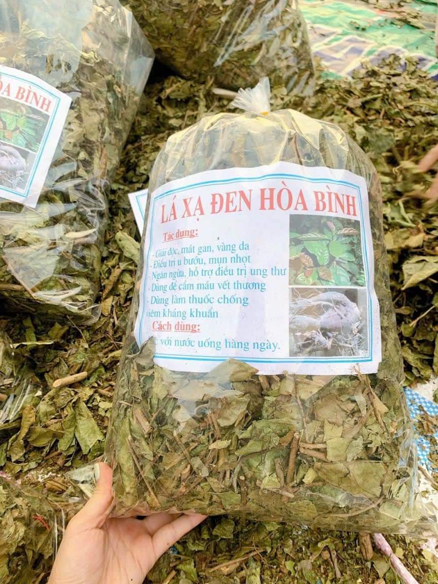 (Dược liệu khô) Cây Xạ đen phơi khô 500g