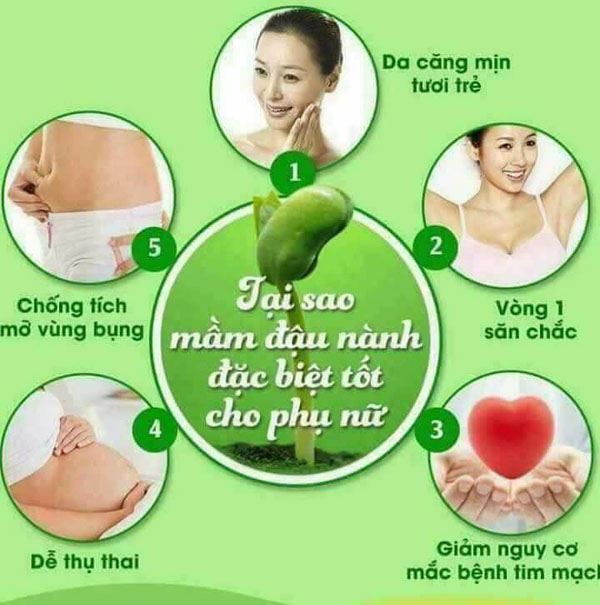 1kg Bột mầm đậu nành nguyên xơ