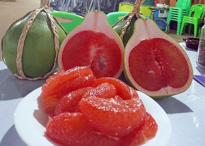 CÂY GIỐNG BƯỞI RUBY MALAISIA RUỘT ĐỎ ( cây khỏe ĐẸP dễ trồng, sinh trưởng tốt).