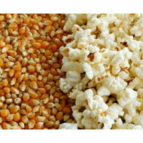 500gr Bắp nổ - mỹ(dùng làm bắp rang bơ)