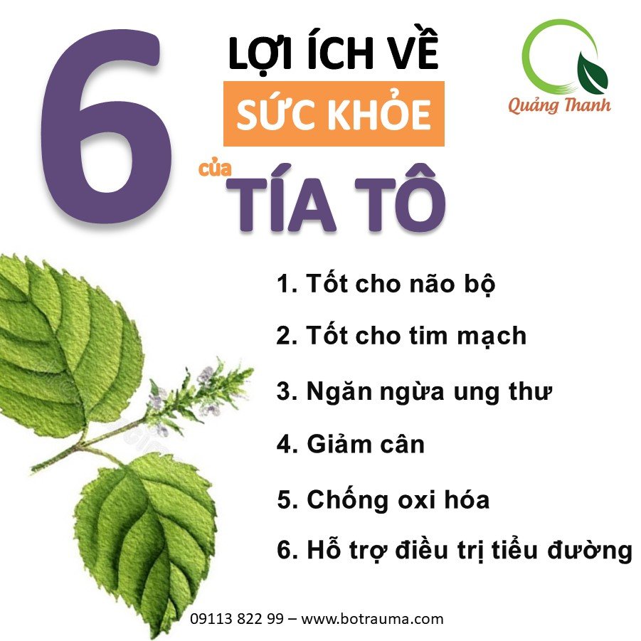 Bột Tía Tô