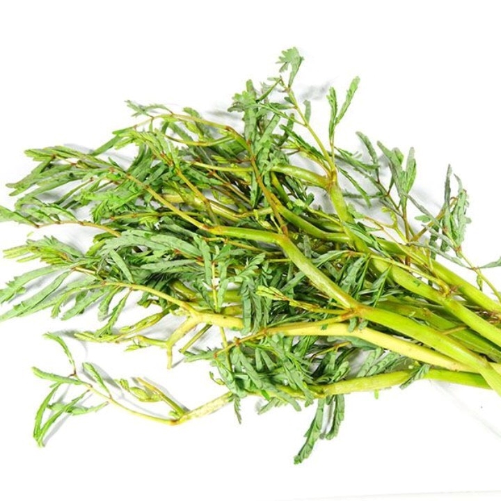 Giống Rau nhút(1g)