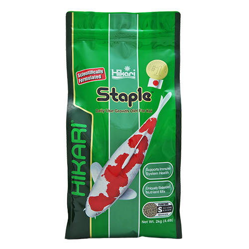 Cám cho cá koi Hikari Staple