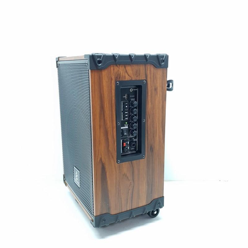 Loa Kéo Karaoke Bluetooth Zansong S10I