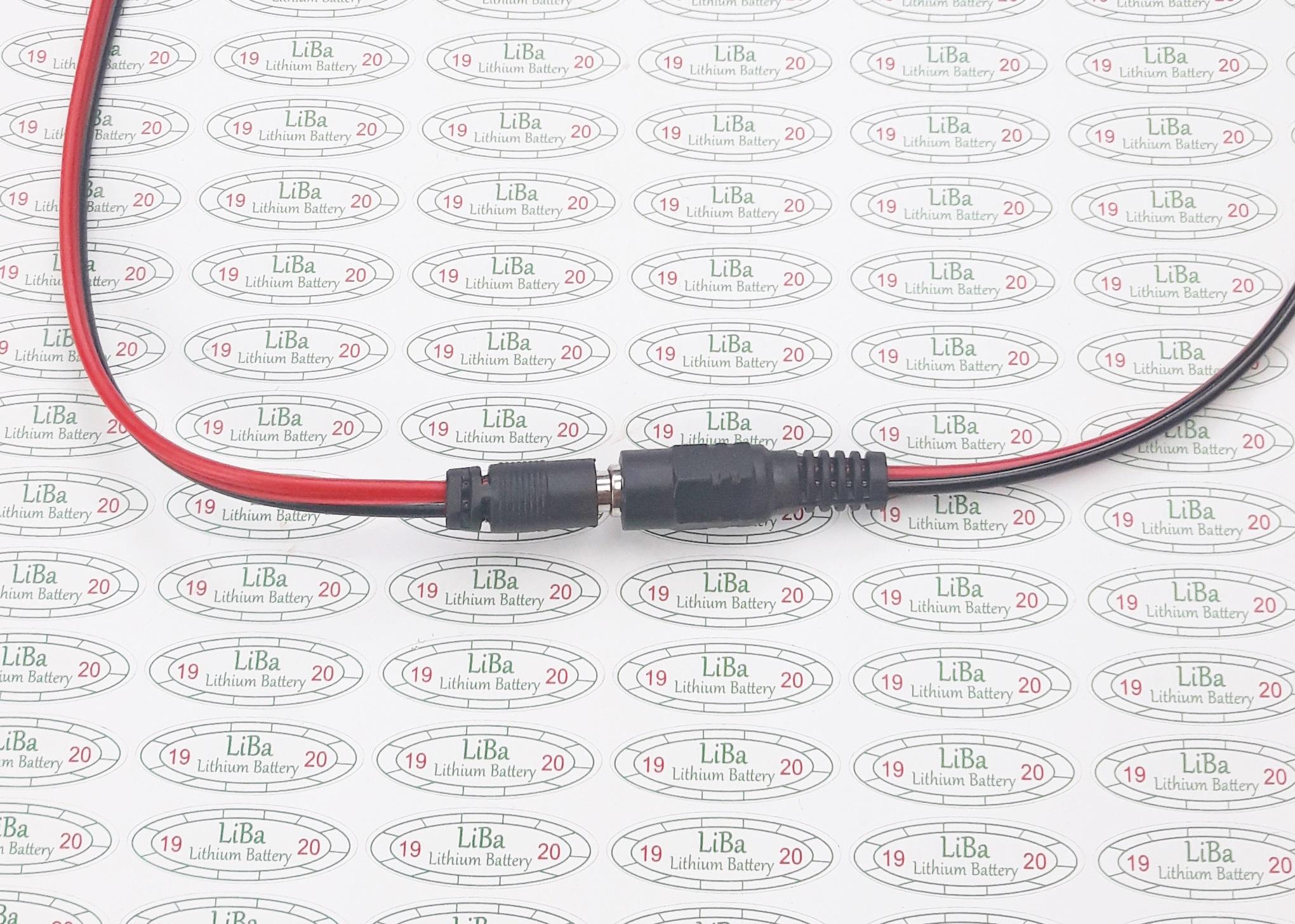 Zăc cắm 5525 mm _ liba