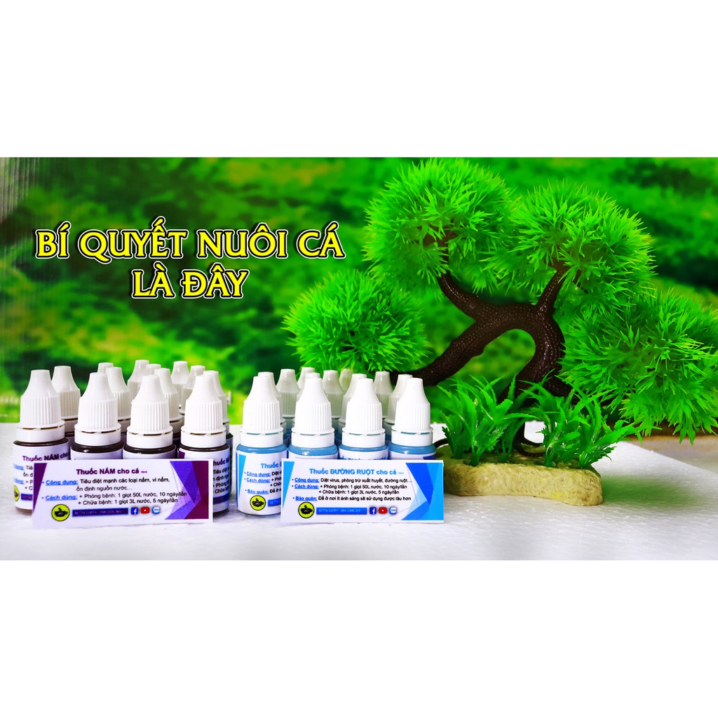 Thần dược Thái Lan - dưỡng Cá khoẻ Đẹp đẻ