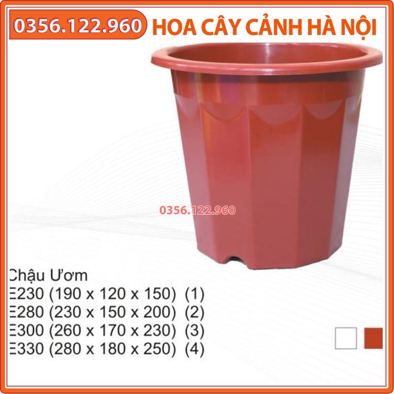 Chậu nhựa trồng cây E280 (23x20cm) - Chậu ươm loại 1