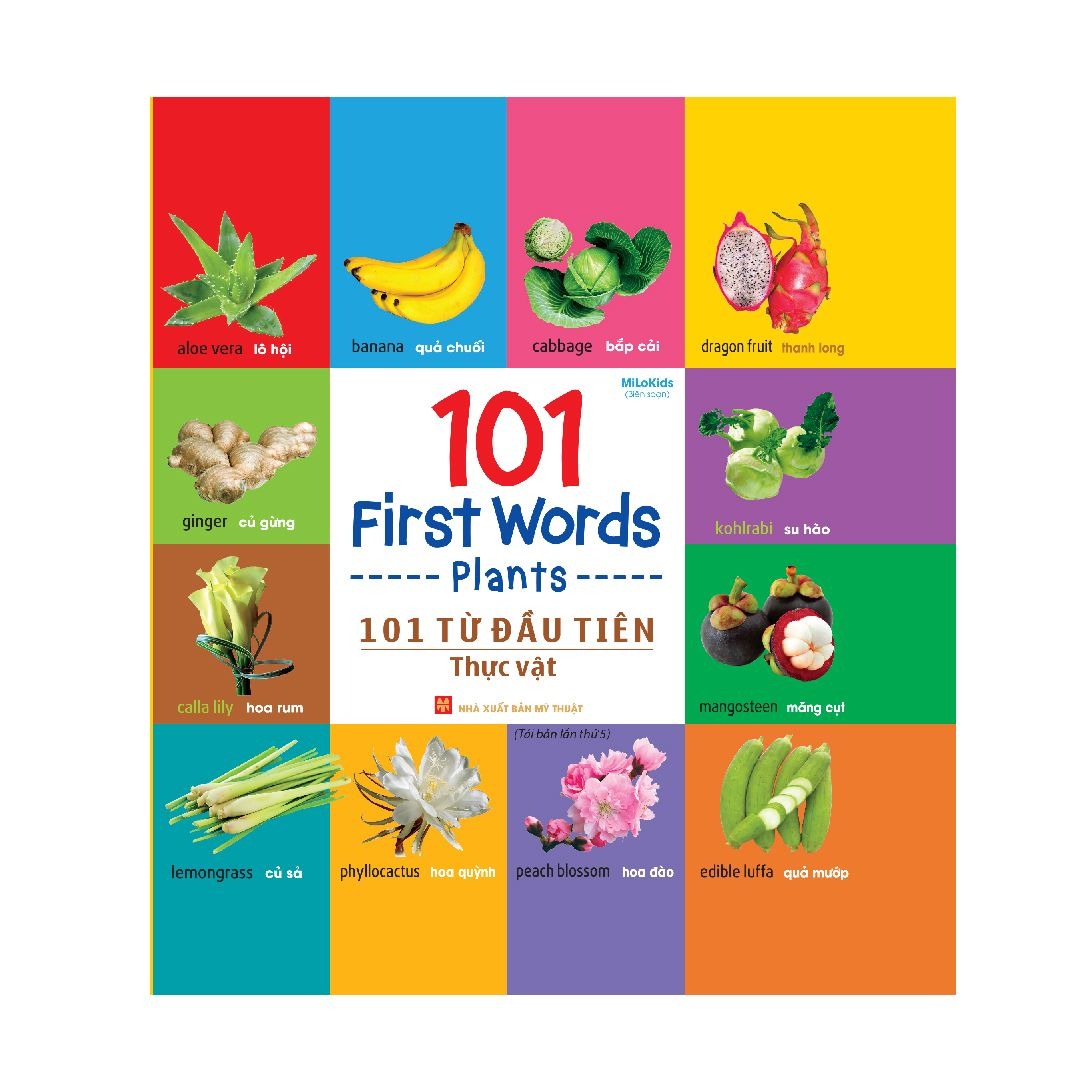 Sách: 101 First Words /101 Từ Đầu Tiên (Trọn Bộ 6 Cuốn)