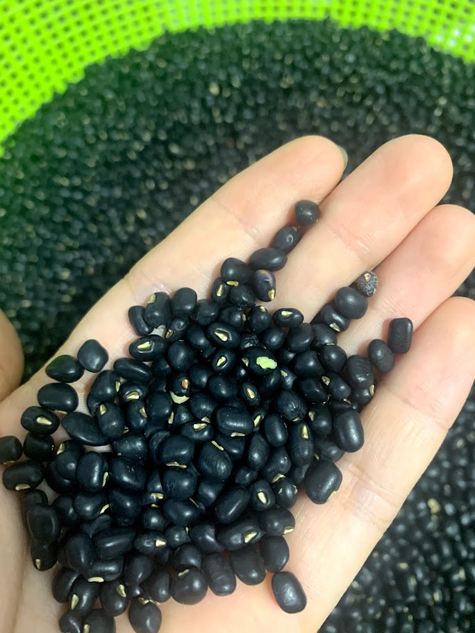 500gr Đậu đen xanh lòng hạt nhỏ
