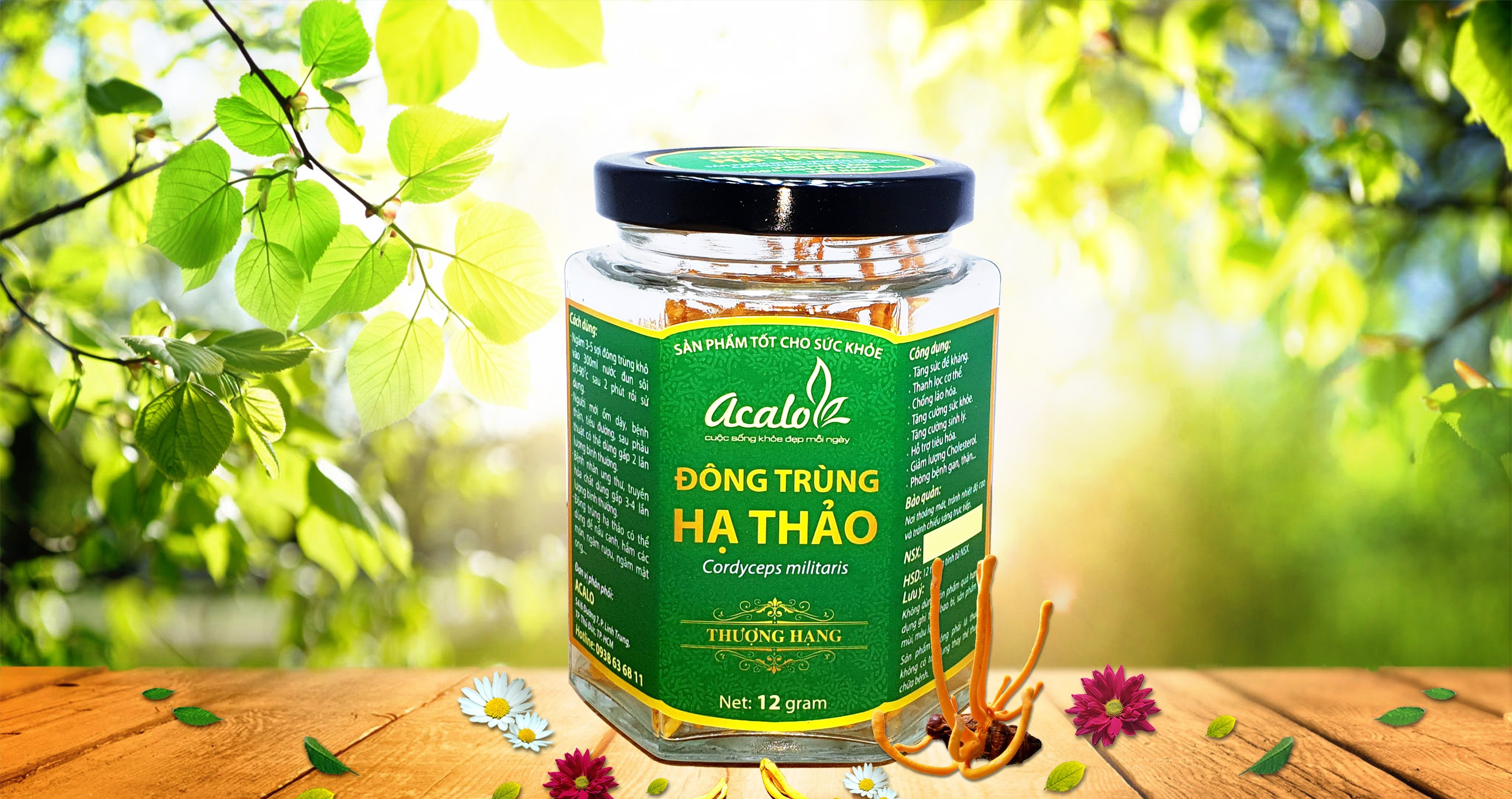 Đông trùng hạ thảo Acalo