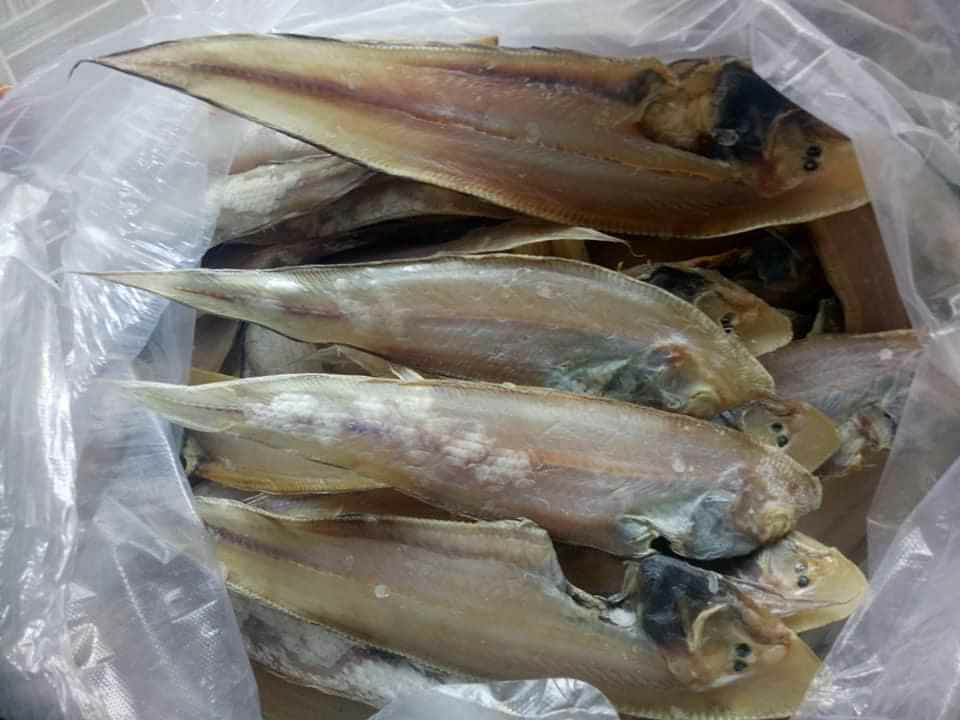 Khô cá lưỡi trâu 1 kí - Đặc sản Sông Đốc Cà Mau