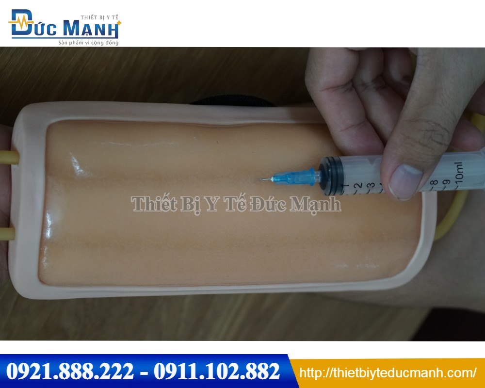 Mô hình tiêm tĩnh mạch
