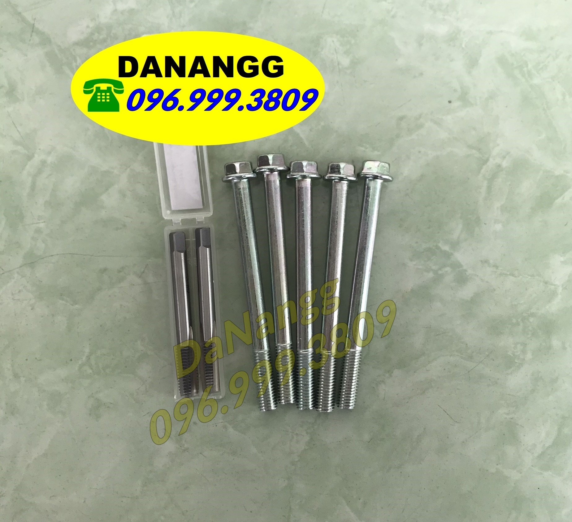 Ốc 9 ly dài 10 cm 5 con