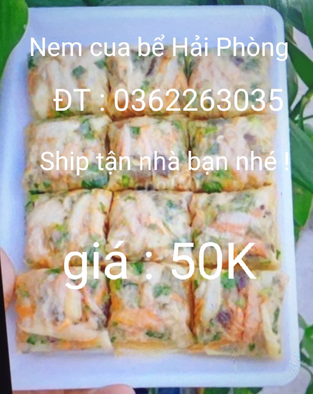NEM HẢI SẢN CÁC LOẠI