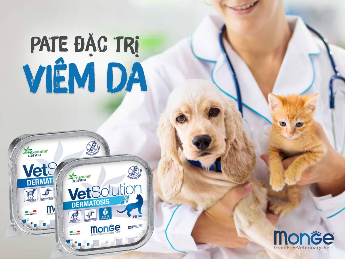 Pate MÈO Monge Vet Solution Chăm Sóc Sức Khỏe 100g