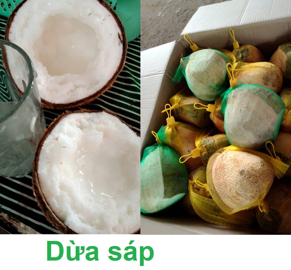 🌴 Dừ....a   s .á .  p loại đặc biệt