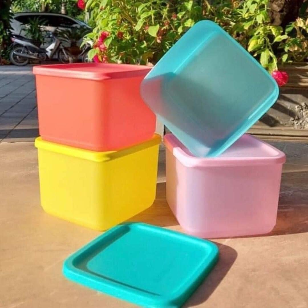 Bộ hộp Medium Square 1L Tupperware (không vỏ hộp)