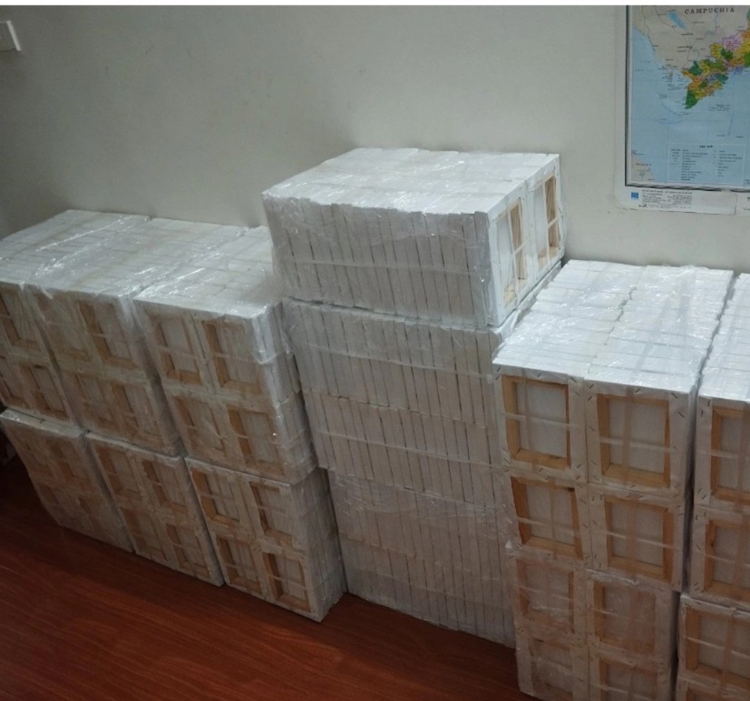 Toan vẽ tranh căng sẵn các kích cỡ