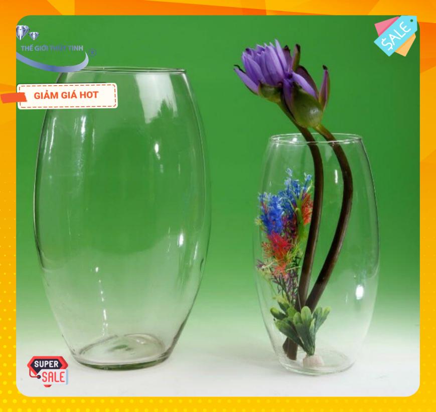 Bình Bông Lọ Hoa Thủy Tinh Trang Trí Để Bàn D3. Thích hợp cắm những bông hoa trang trí nhà bếp phòng ăn, phòng khách hay văn phòng làm việc của bạn