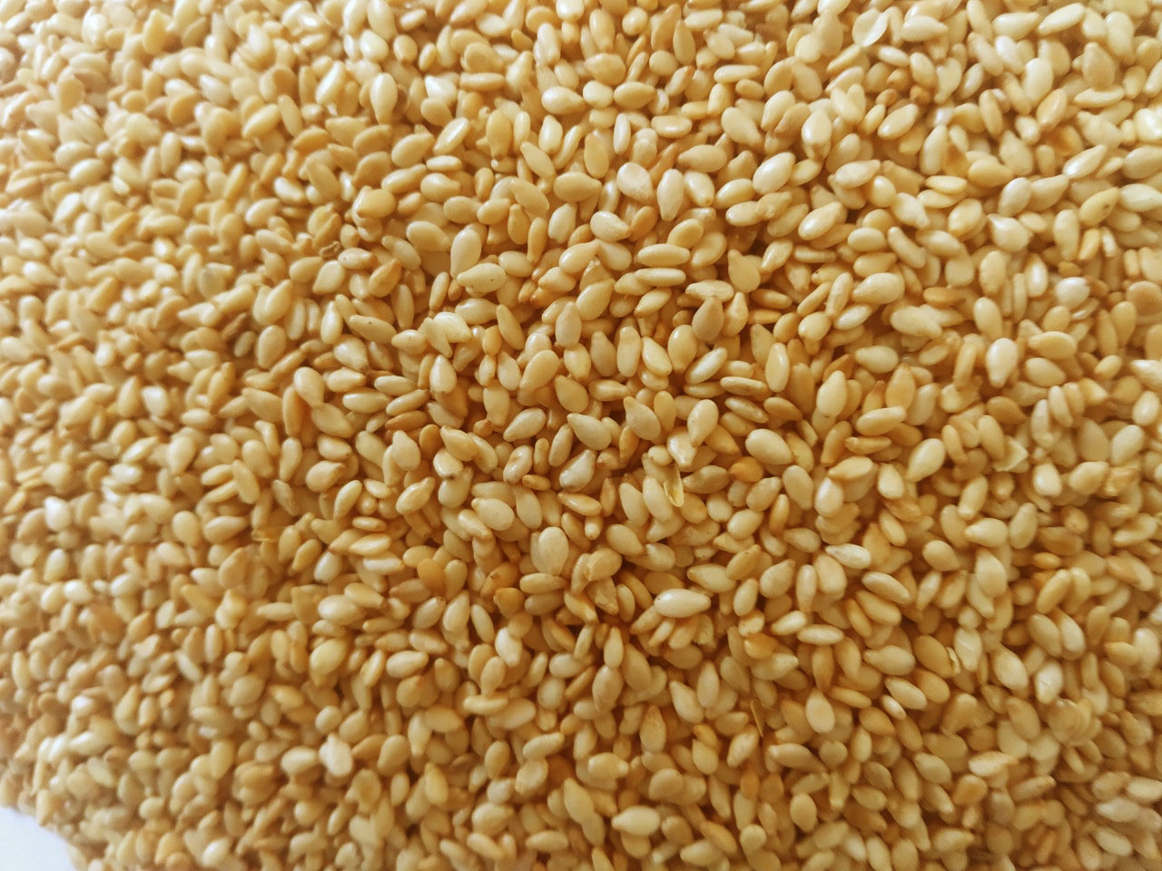 Hạt Mè Trắng 200gr, 500gram - hạt vừng