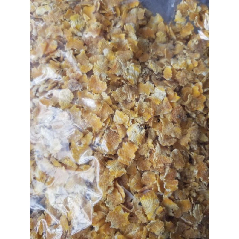 Bắp Cán Dẹp/Bắp Vảy Cho Hamster