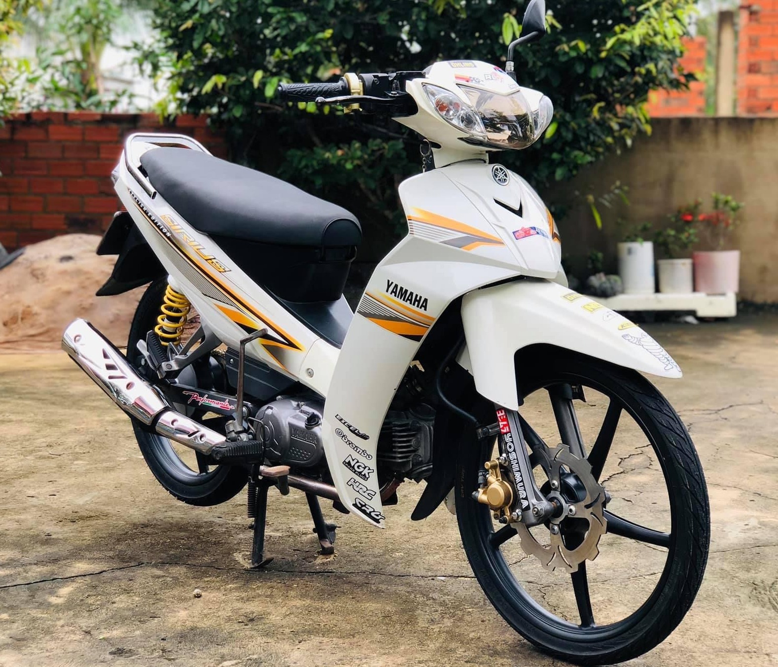 Tem rời sirius trắng cam