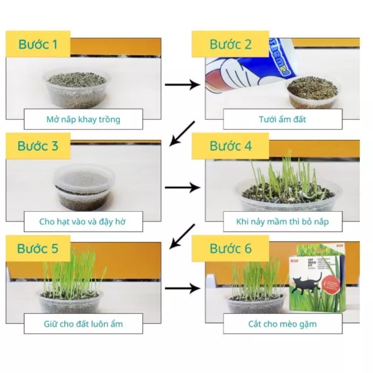 Bộ Kit Trồng Cỏ Mèo Magic Cho Mèo Pet