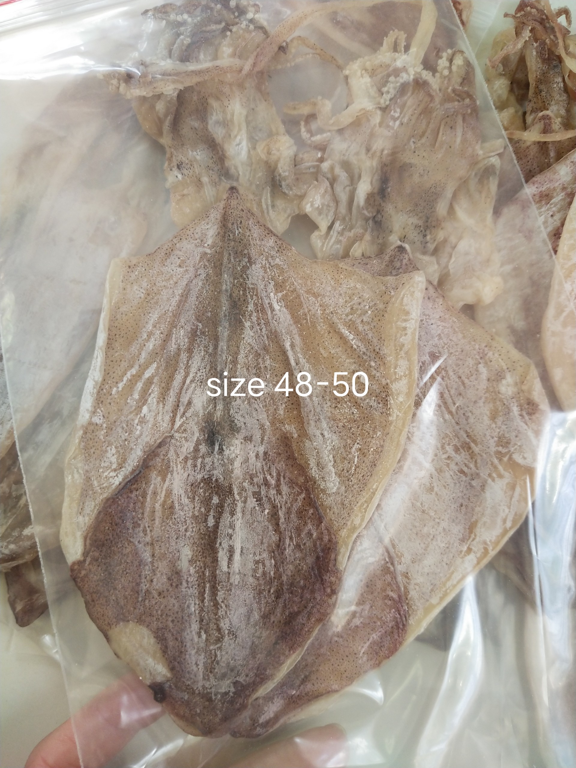 [Freeship] Mực khô câu size 50-55con [LOẠI 1] [thịt mực ngon ngọt dai] GHPY H011