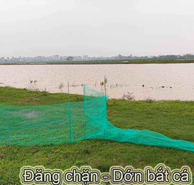 đăng ,dớn bắt cá