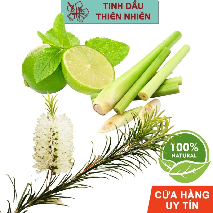 Tinh Dầu Xả Chanh Bạc Hà Tự Nhiên Lọ 10ml Ale