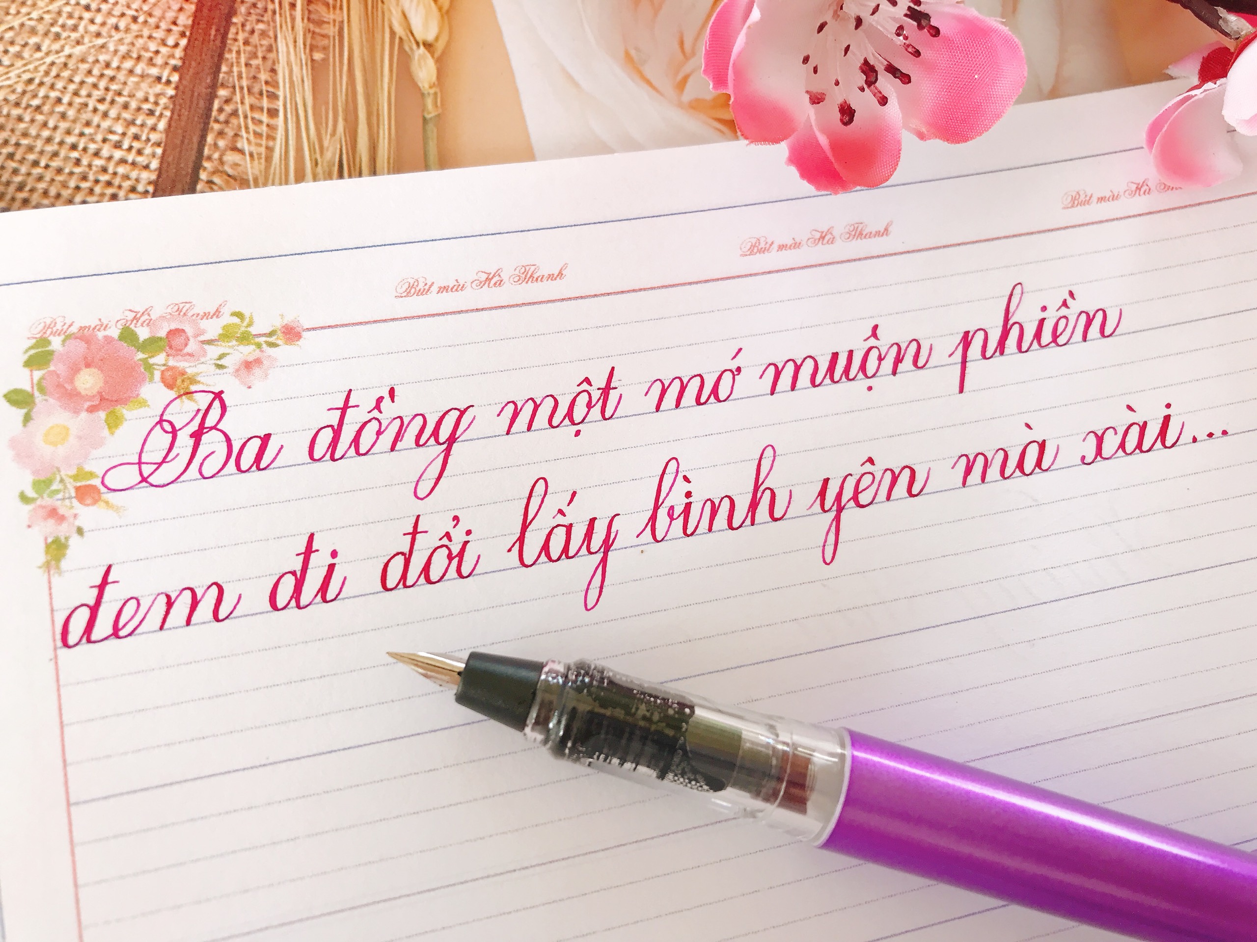 🍂 Bút máy LeTa 369 ngòi lá tre thanh đậm