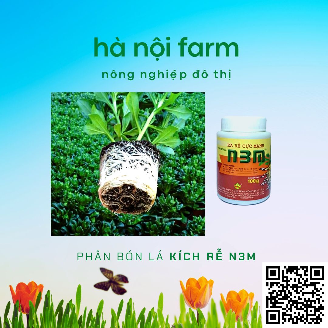 N3M kích ra rễ, N3M bột 100g