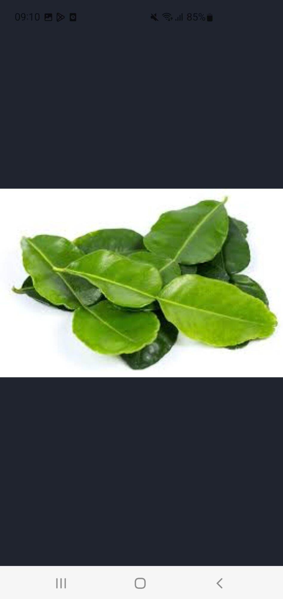 100gr Lá chanh ( tươi)