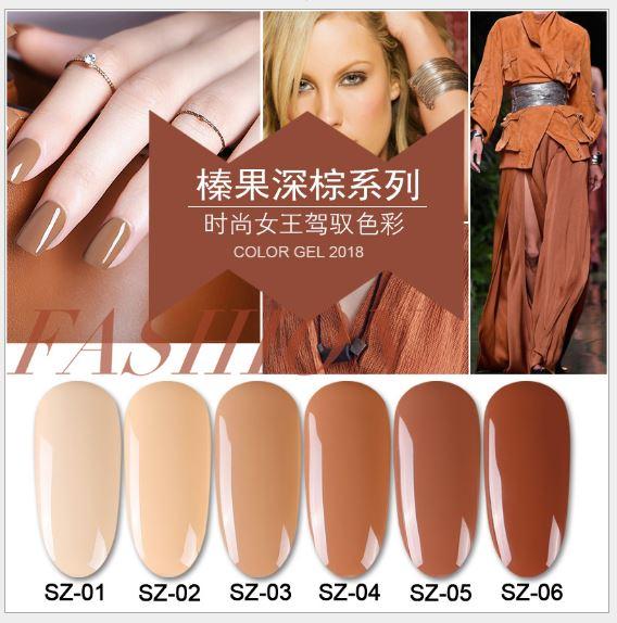 Sơn móng gel AS set 6 màu nâu sữa SZ