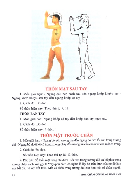 Học châm cứu bằng hình ảnh