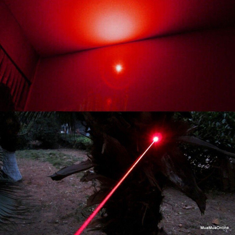 Đèn Lazer 303, tia đỏ