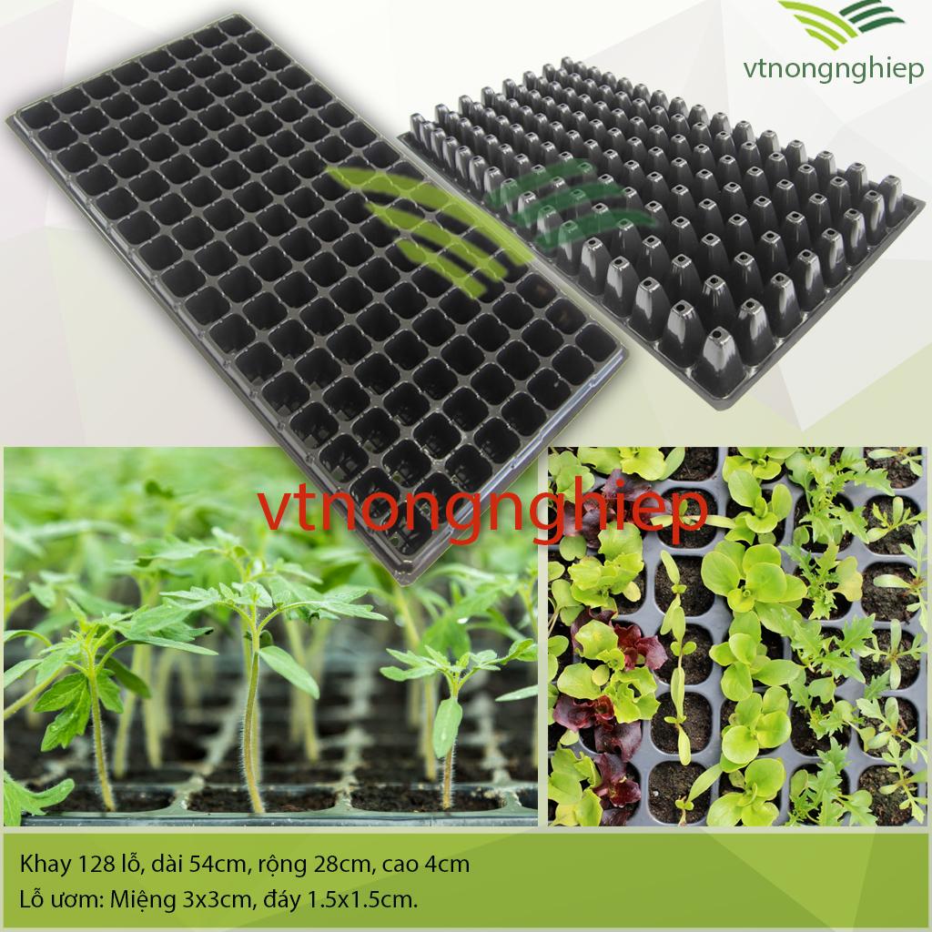 5 khay ươm hạt 128 lỗ