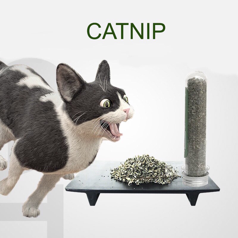 [HCM]Cỏ Bạc Hà Mèo Catnip Hahale - Ống 40ml