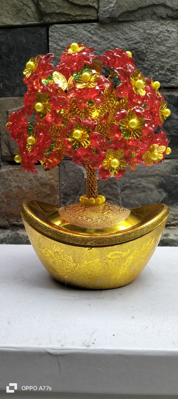 Cây kim ngân vạn lượng