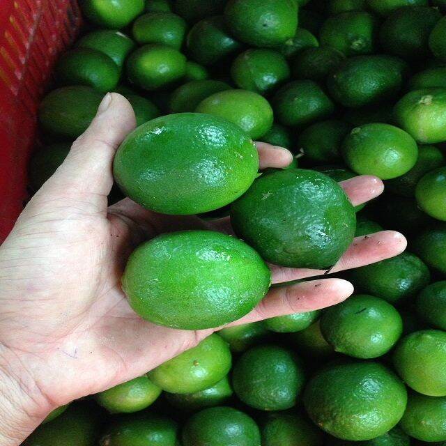 chanh tươi nhiều nước 1kg