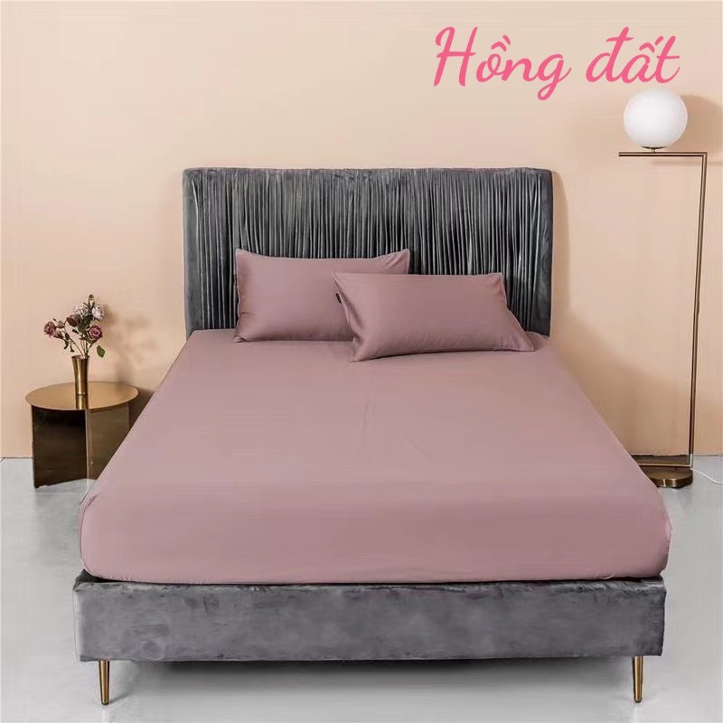 (❣️GIÁ BAY NÓC) Bộ ga gối lụa tencel trơn 60s cao cấp ga giường lụa mát lạnh - nhiều mẫu lựa chọn