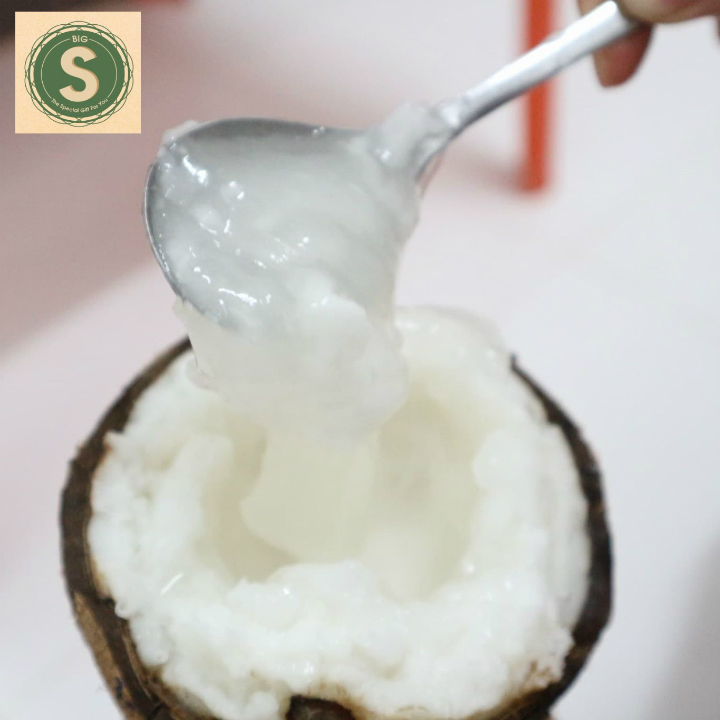 Dừa sáp Loại Bi Đặc